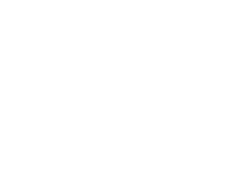 Goodie-Logo-white