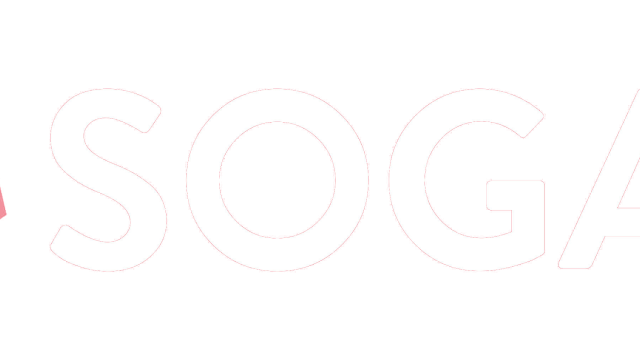 SoGal Foundation – SoGal Foundation, the world’s largest platform for diverse entrepreneurs and investors, operates across 6 continents with hyper-local programming in over 50 cities, aiming to bridge the diversity gap in entrepreneurship and venture capital.